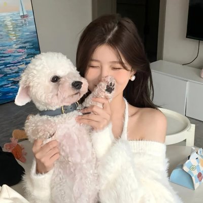 女人与高铁 海报